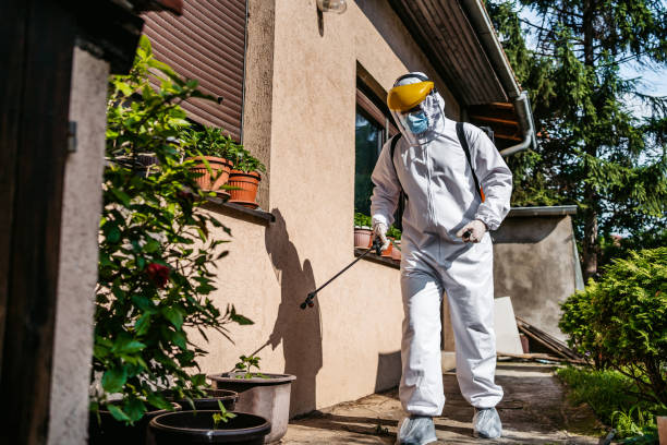 Best Best Pest Control Companies  in East Speer, NC