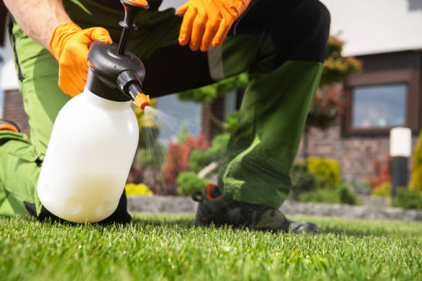 Best Flea Control Services  in East Speer, NC