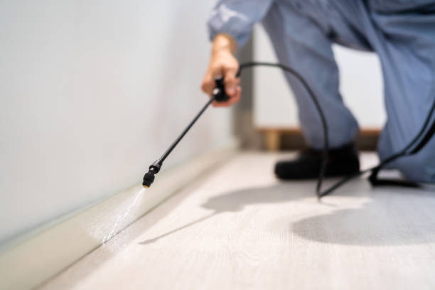 Reliable East Spencer, NC Pest Control Solutions