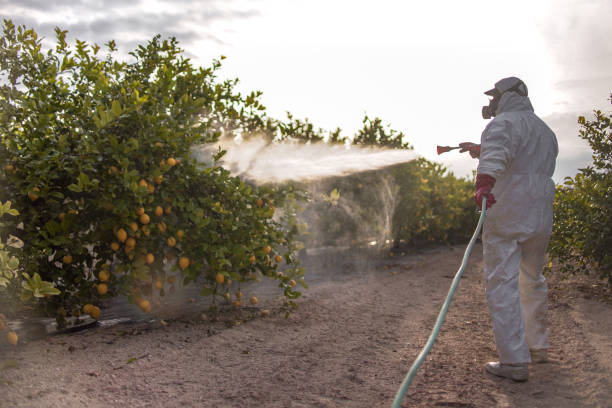 Best Insect Control  in East Speer, NC