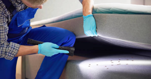 Best Affordable Pest Control Services  in East Speer, NC