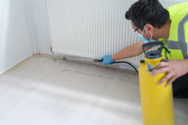 Best Local Pest Control Services  in East Speer, NC